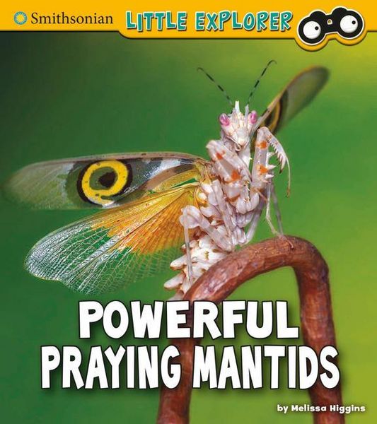 Produktbild: Powerful Praying Mantids