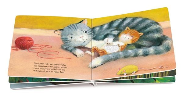 Produktbild: Wie kleine Tiere schlafen gehen. Mein F&uuml;hlbuch