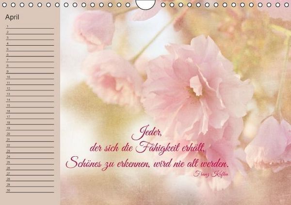 Produktbild: Spruchreifer Geburtstagskalender (Wandkalender immerw&auml;hrend DIN A4 quer)