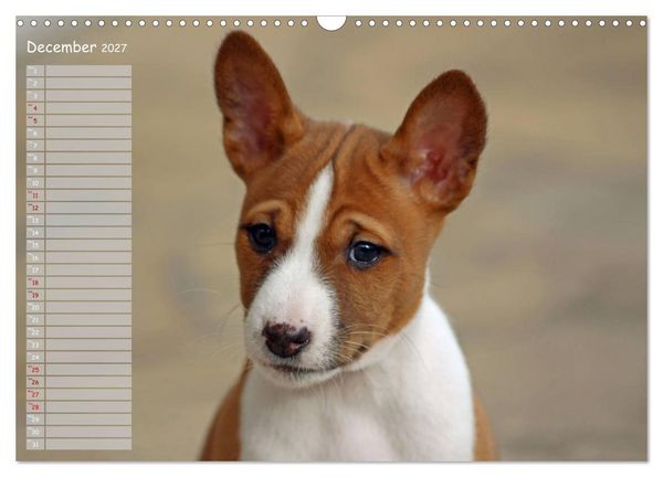 Produktbild: Basenji the African Barkless Dog (Wall Calendar 2027 DIN A3 landscape), CALVENDO 12 Month Wall Calendar