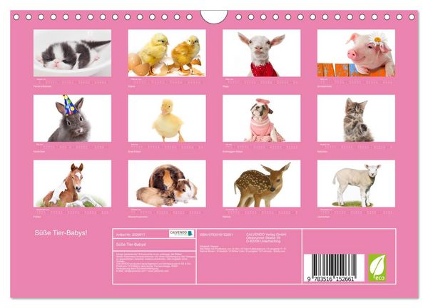 Produktbild: S&uuml;&szlig;e Tier-Babys! (Wandkalender 2026 DIN A4 quer), CALVENDO Monatskalender