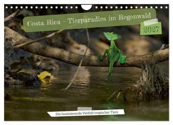 Produktbild: Costa Rica &ndash; Tierparadies im Regenwald (Wandkalender 2027 DIN A4 quer), CALVENDO Monatskalender