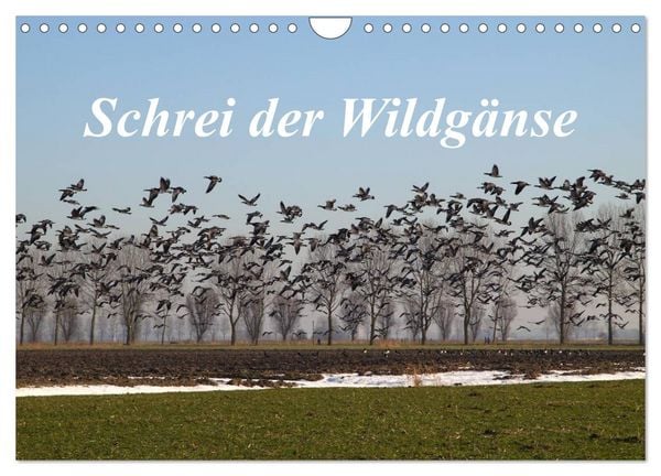 Produktbild: Schrei der Wildg&auml;nse (Wandkalender 2026 DIN A4 quer), CALVENDO Monatskalender