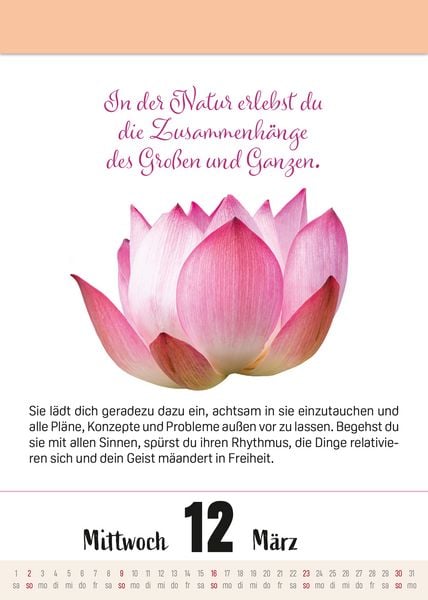 Produktbild: Ein Jahr voller Achtsamkeit Abrei&szlig;kalender 2027 - Abrei&szlig;kalender 2027 mit t&auml;glichen Impulsen & Mantras