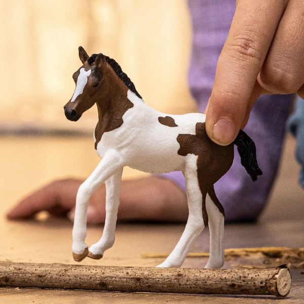 Produktbild: Paint Horse Fohlen