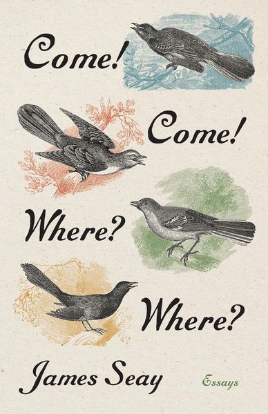 Produktbild: Come! Come! Where? Where?
