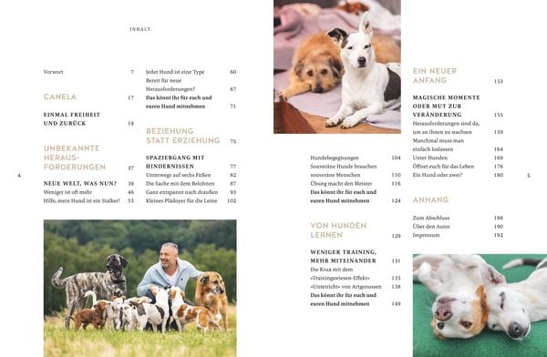 Seelenpartner Hund