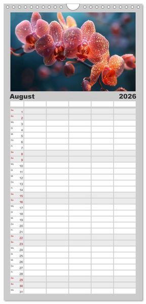 Produktbild: Familienplaner 2026 - Orchideen - farbenfroh durchs Jahr mit 5 Spalten (Wandkalender, 21 x 45 cm) CALVENDO