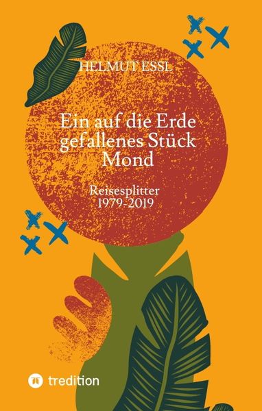 Produktbild: Ein auf die Erde gefallenes St&uuml;ck Mond