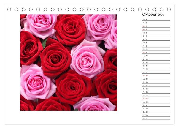 Produktbild: Die vielen Gesichter der Rosen (Tischkalender 2026 DIN A5 quer), CALVENDO Monatskalender