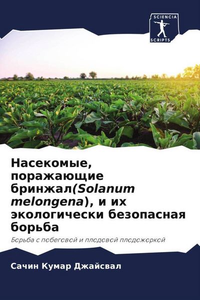 Produktbild: Nasekomye, porazha&uuml;schie brinzhal(Solanum melongena), i ih &auml;kologicheski bezopasnaq bor'ba