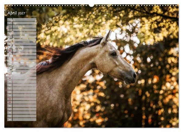 Produktbild: Pferde - Spiegel deiner Seele (Wandkalender 2027 DIN A2 quer), CALVENDO Monatskalender