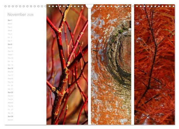 Produktbild: Natural Trios (Wall Calendar 2026 DIN A3 landscape), CALVENDO 12 Month Wall Calendar