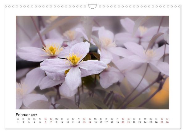 Produktbild: Rosa Bl&uuml;tentraum (Wandkalender 2027 DIN A3 quer), CALVENDO Monatskalender