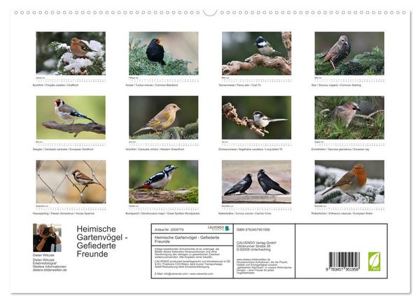 Produktbild: Heimische Gartenv&ouml;gel - Gefiederte Freunde (hochwertiger Premium Wandkalender 2026 DIN A2 quer), Kunstdruck in Hochglanz