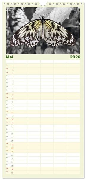 Produktbild: Familienplaner 2026 - Gefl&uuml;gelte Sch&ouml;nheiten der Tropen mit 5 Spalten (Wandkalender, 21 x 45 cm) CALVENDO