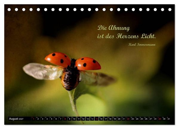 Produktbild: Das kleine, gro&szlig;e Gl&uuml;ck (Tischkalender 2027 DIN A5 quer), CALVENDO Monatskalender