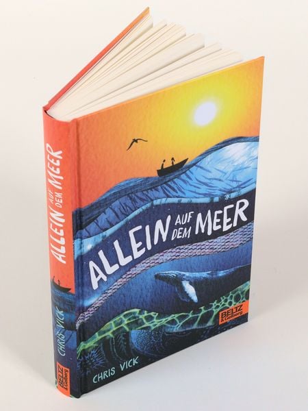 Produktbild: Allein auf dem Meer