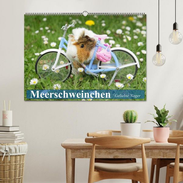 Produktbild: Meerschweinchen. Geliebte Nager (Wandkalender 2026 DIN A2 quer), CALVENDO Monatskalender