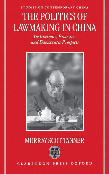 Produktbild: The Politics of Lawmaking in China