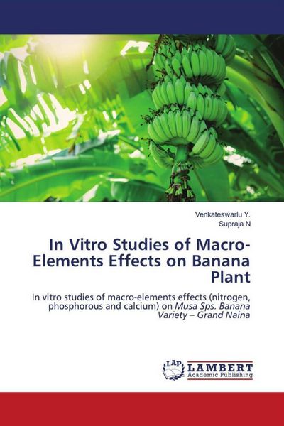 Produktbild: In Vitro Studies of Macro-Elements Effects on Banana Plant