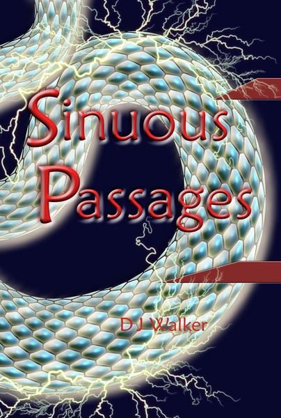 Produktbild: Sinuous Passages