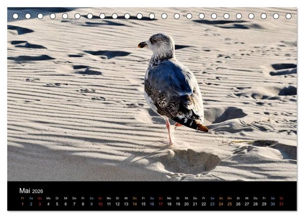 Produktbild: Warnem&uuml;nde - Maritime Landschaften (Tischkalender 2026 DIN A5 quer), CALVENDO Monatskalender