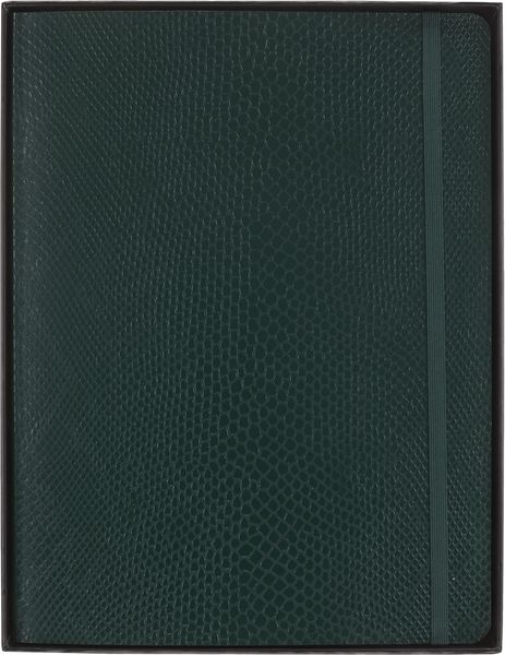 Produktbild: Moleskine Vegea Boa Notizbuch, XL, liniert, weicher Einband, gr&uuml;n, in Box