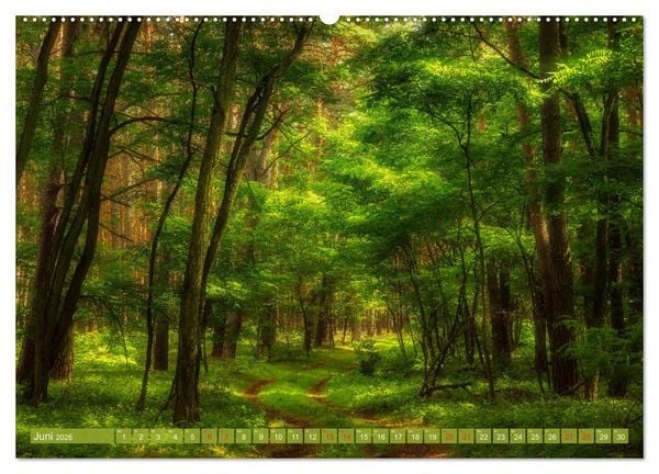 Produktbild: Vom Gebirge bis zum Meer, Alpen/Erzgebirge - Mitteldeutschland - K&uuml;ste (hochwertiger Premium Wandkalender 2026 DIN A2 quer), Kunstdruck in Hochglanz