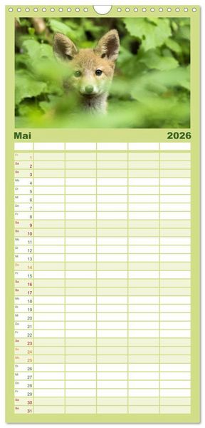 Produktbild: Familienplaner 2026 - Magie Heimische Natur mit 5 Spalten (Wandkalender, 21 x 45 cm) CALVENDO