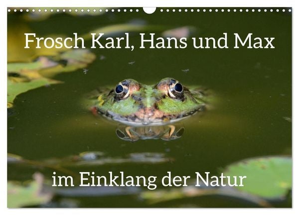 Frosch Karl, Hans und Max im Einklang der Natur (Wandkalender 2025 DIN A3 quer), CALVENDO Monatskalender