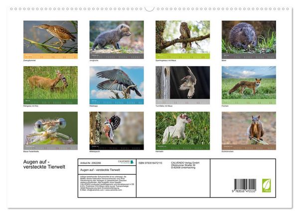 Produktbild: Augen auf - versteckte Tierwelt (hochwertiger Premium Wandkalender 2026 DIN A2 quer), Kunstdruck in Hochglanz