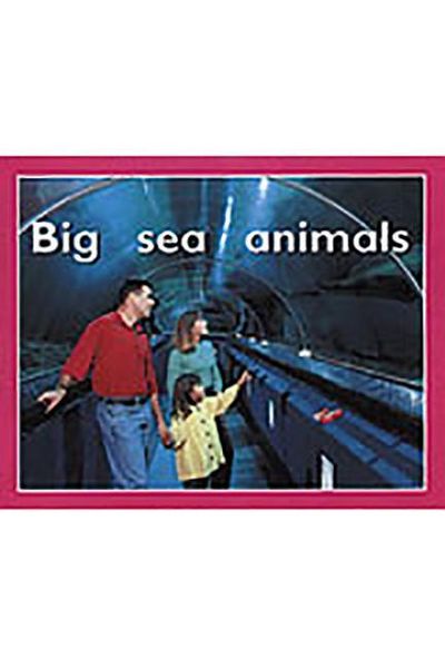 Produktbild: Big Sea Animals