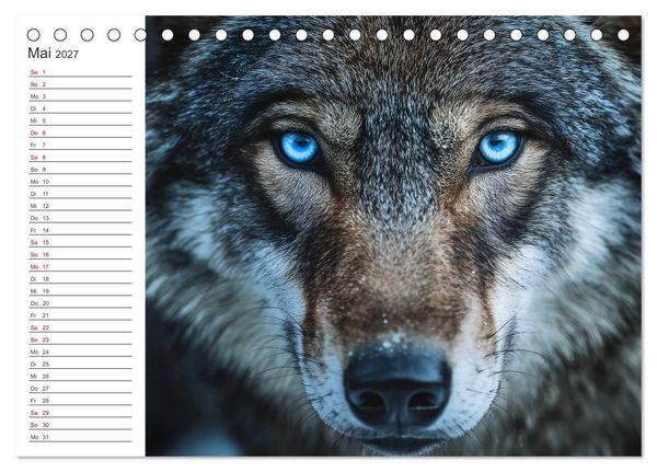 Produktbild: Die Seele der Wildnis (Tischkalender 2027 DIN A5 quer), CALVENDO Monatskalender