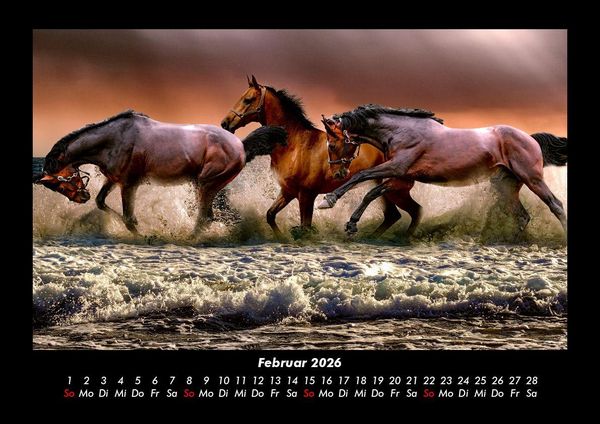 Produktbild: Pferdetraum 2026 Fotokalender DIN A3