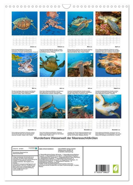 Produktbild: Wunderbare Wasserwelt der Meeresschildkr&ouml;ten (Wandkalender 2026 DIN A3 hoch), CALVENDO Monatskalender