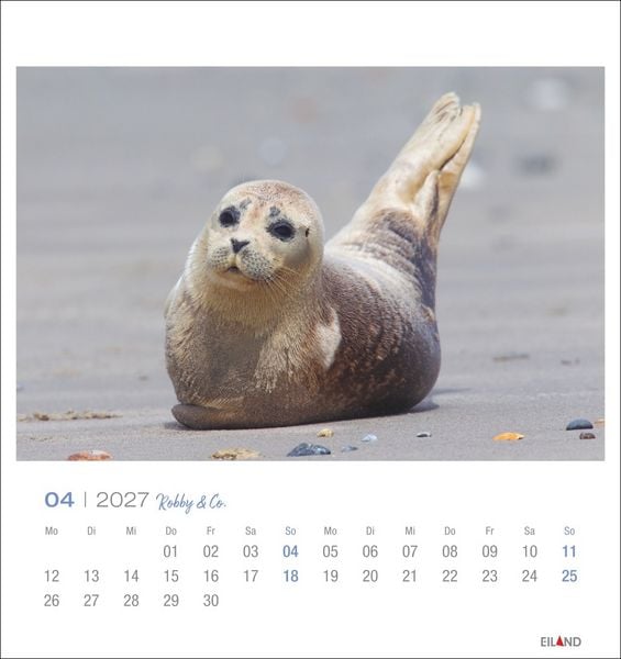 Produktbild: Robby & Co. Postkartenkalender 2027