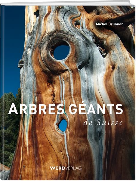Produktbild: Arbres g&eacute;ants de Suisse