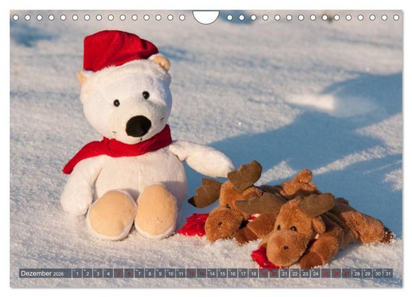 Produktbild: Kunterbunte B&auml;renwelt - Teddys (Wandkalender 2026 DIN A4 quer), CALVENDO Monatskalender