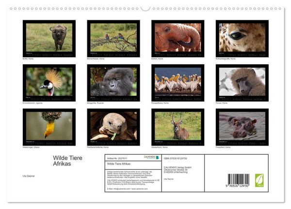 Produktbild: Wilde Tiere Afrikas (hochwertiger Premium Wandkalender 2026 DIN A2 quer), Kunstdruck in Hochglanz