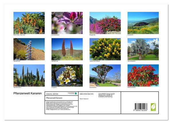 Produktbild: Pflanzenwelt Kanaren (Wandkalender 2026 DIN A3 quer), CALVENDO Monatskalender