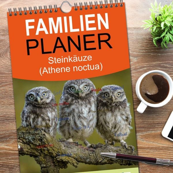 Produktbild: Familienplaner 2026 - Steink&auml;uze (Athene noctua) mit 5 Spalten (Wandkalender, 21 x 45 cm) CALVENDO