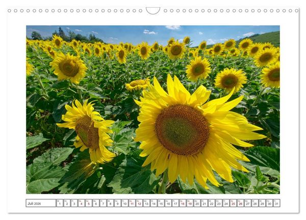 Produktbild: Bulgarien. Berge und Meer. (Wandkalender 2026 DIN A3 quer), CALVENDO Monatskalender