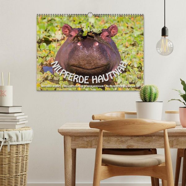 Produktbild: Emotionale Momente: Nilpferde hautnah (Wandkalender 2026 DIN A3 quer), CALVENDO Monatskalender