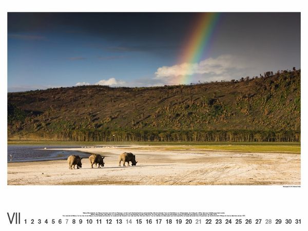 Produktbild: Kenia 2013