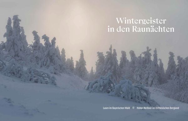 Produktbild: Winterreise