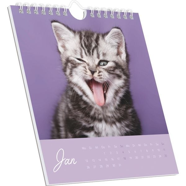 Produktbild: Kleine Samtpfötchen 2026 - Postkartenkalender 16x17 cm - Katzen - zum Aufstellen oder Aufhängen - Monatskalendarium - Gadget - Mitbringsel - Alpha Edi