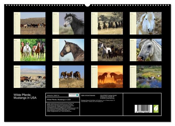 Produktbild: Wilde Pferde. Mustangs in USA (hochwertiger Premium Wandkalender 2026 DIN A2 quer), Kunstdruck in Hochglanz