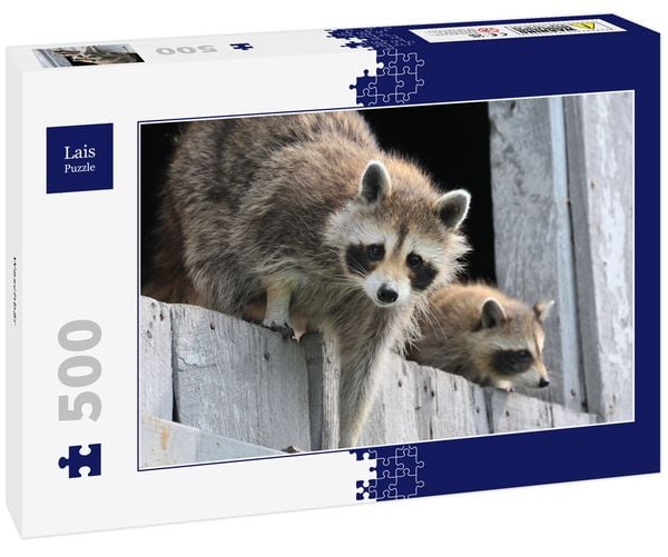 Lais Puzzle Waschbär 500 Teile