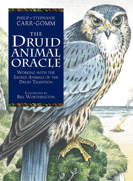 Produktbild: The Druid Animal Oracle